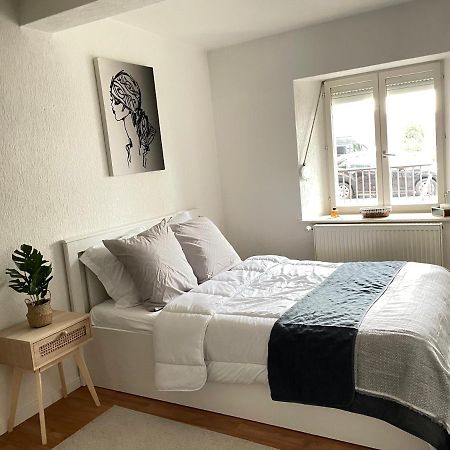 Appartement La Petite Venise Colmar Exteriér fotografie