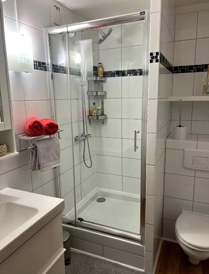 Appartement La Petite Venise Colmar Exteriér fotografie