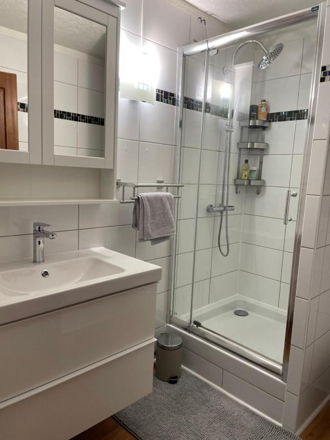 Appartement La Petite Venise Colmar Exteriér fotografie